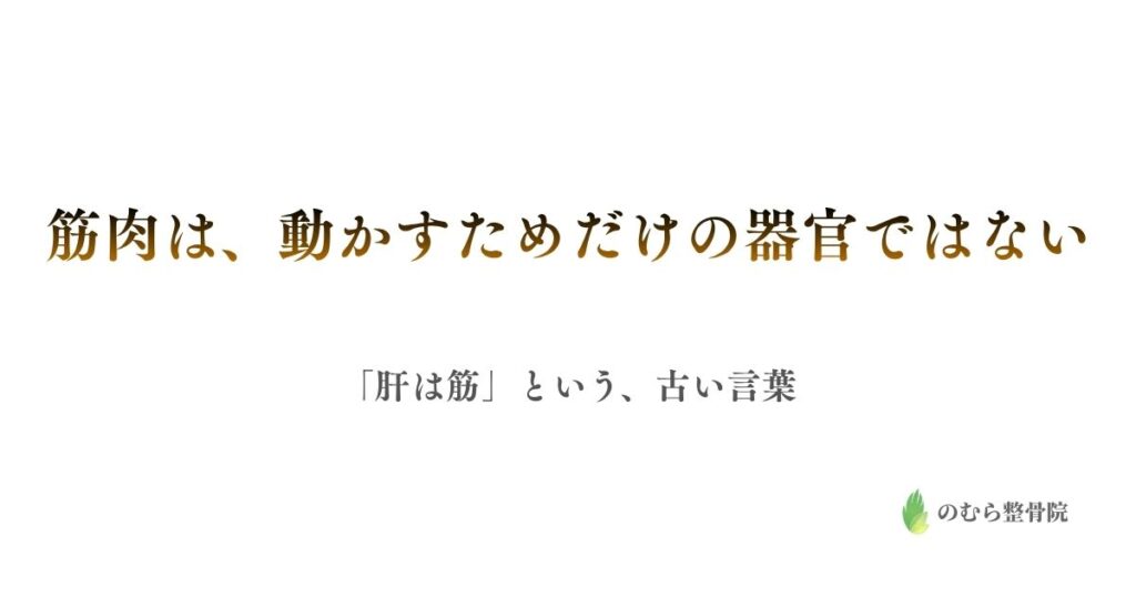 筋肉は、動かすためだけの器官ではない