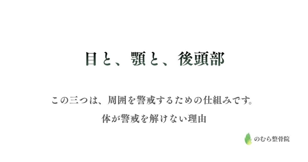 目と、顎と、後頭部